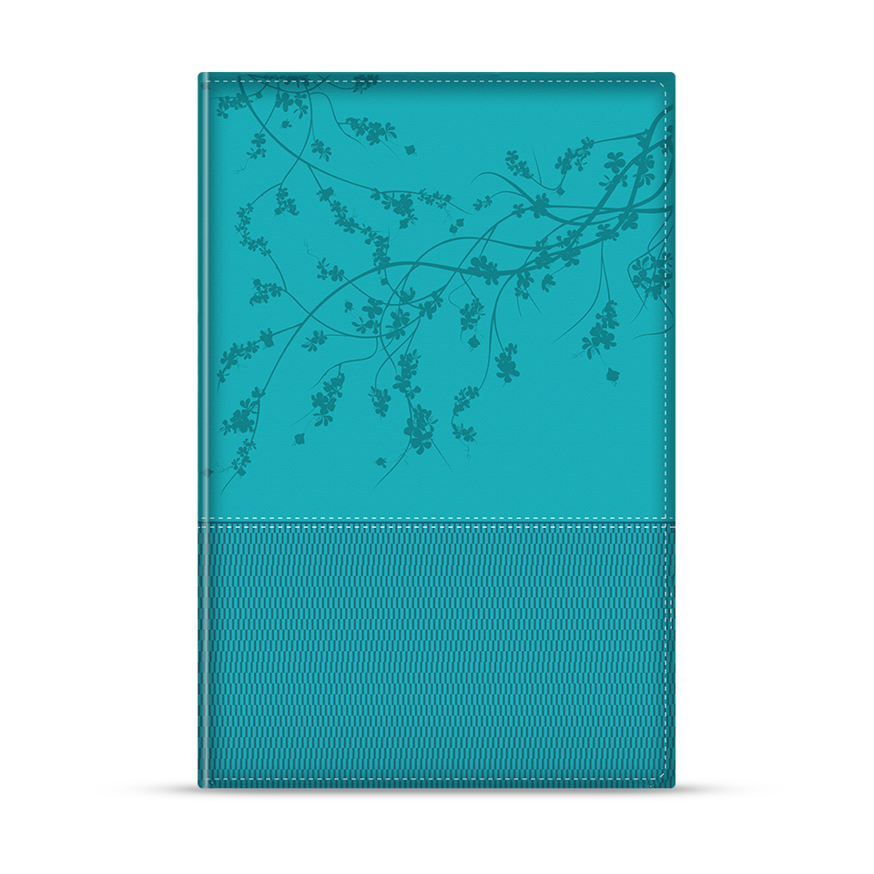 Biblia de la mujer conforme al corazón de Dios - RVR60 Duotono Aqua
