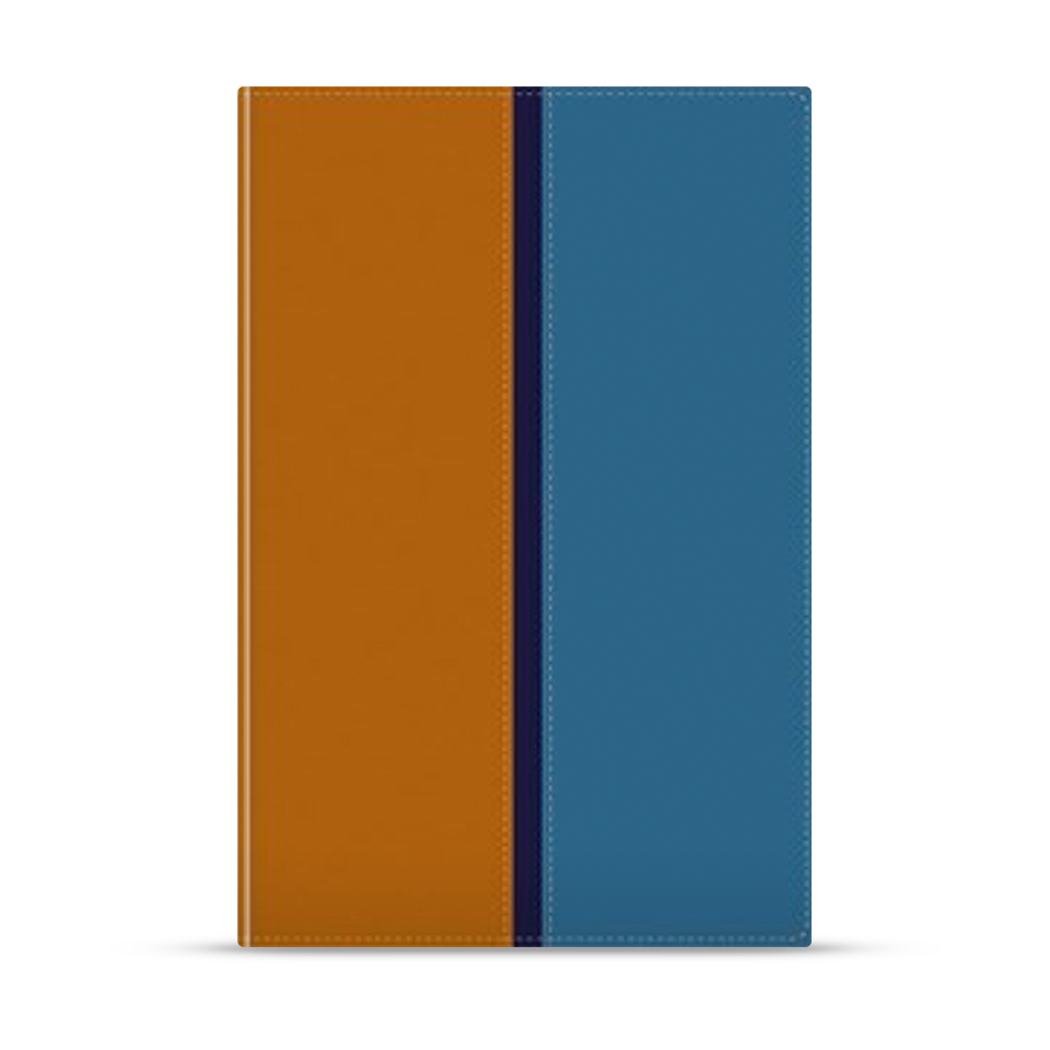 Biblia Paralela RVR60 /NVI