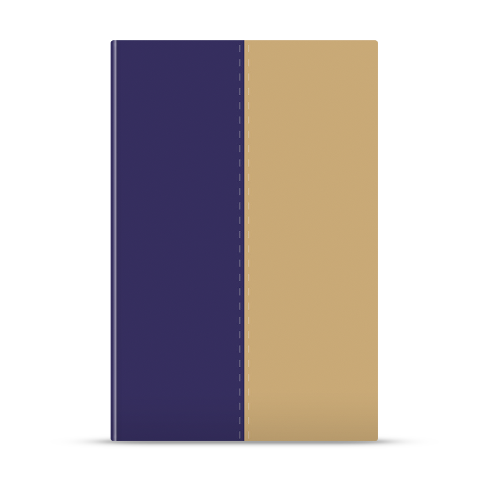Biblia Bilingüe NVI/NIV