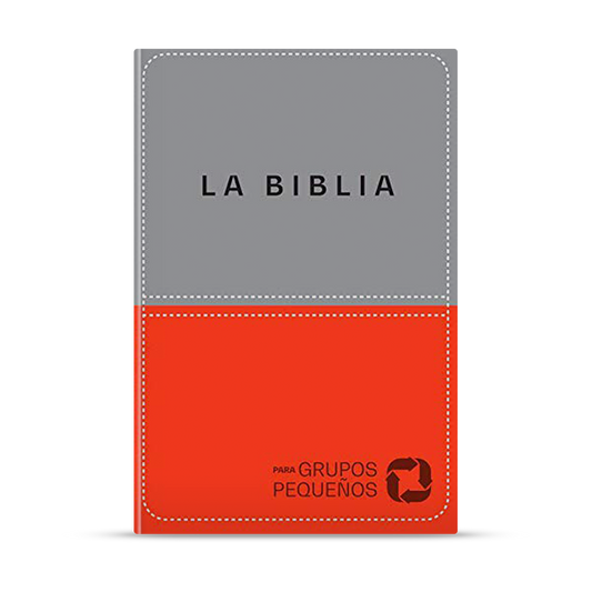 Biblia para grupos pequeños NBV de Lujo